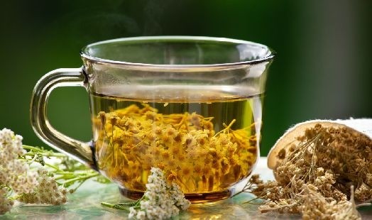 Les bienfaits de l'Achillée millefeuille