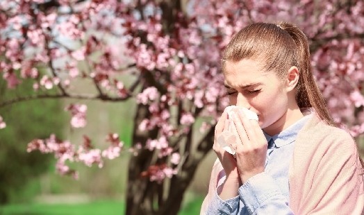 Comment traiter une allergie saisonnière naturellement ?