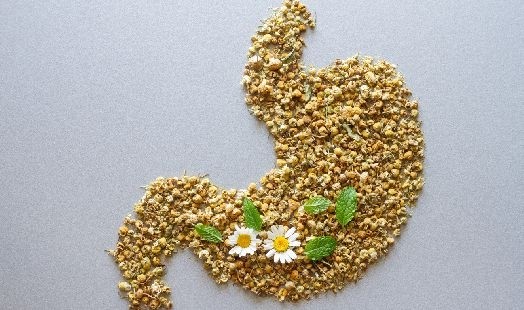 Brûlures d’estomac : les plantes contre l’acidité