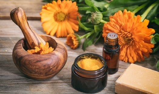 Les bienfaits du Calendula