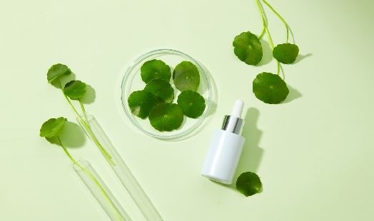 Les bienfaits de la Centella asiatica