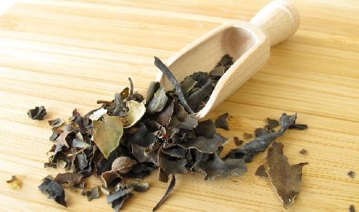 Les bienfaits du Fucus