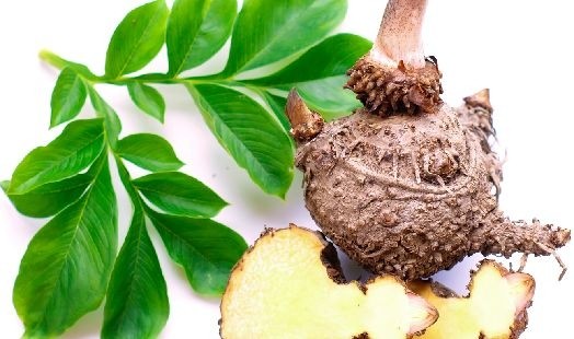 Les bienfaits du Konjac