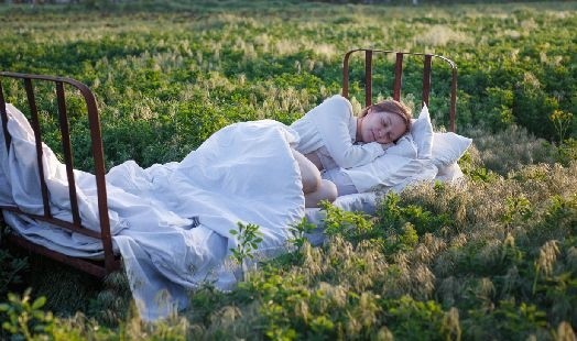 Les plantes pour le sommeil