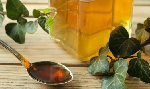 Les bienfaits du Lierre