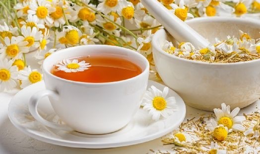 Les bienfaits de la Matricaire