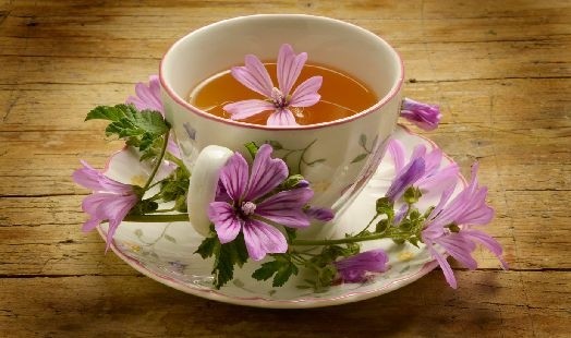 Les bienfaits de la Mauve et de la Guimauve