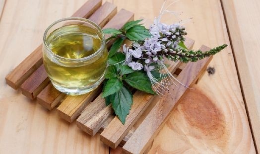 Les bienfaits de l'Orthosiphon