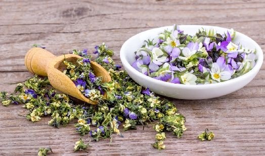 Les bienfaits de la Pensée sauvage