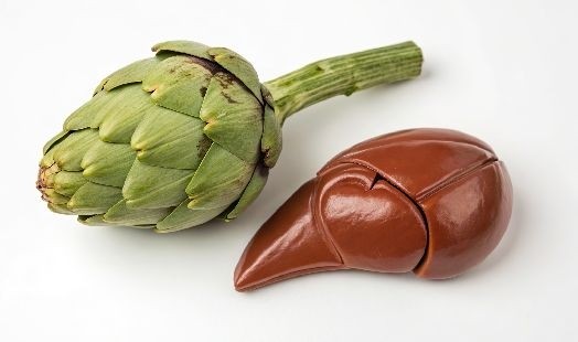 Les plantes pour le foie