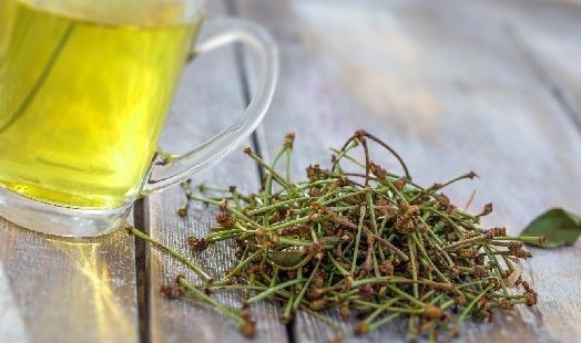 Les bienfaits de la Queue de Cerise