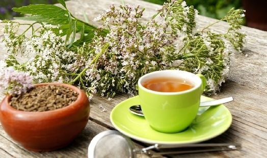 Les bienfaits de la Valériane