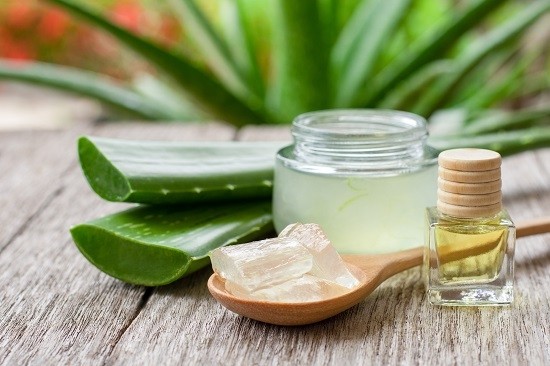 L’Aloe vera : le véritable couteau-suisse végétal