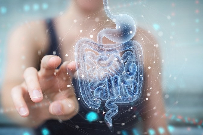 Rectocolite hémorragique : causes, symptômes et traitements