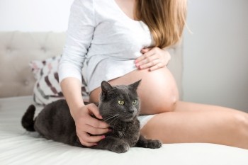 Toxoplasmose : causes, symptômes et traitements