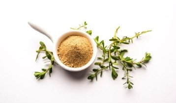 Les bienfaits du Bacopa