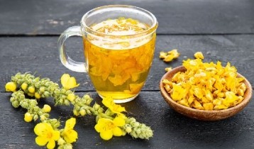 Les bienfaits du Bouillon blanc