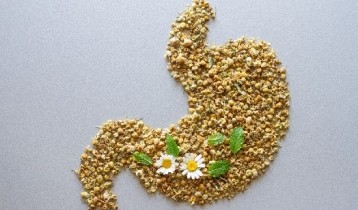 Brûlures d’estomac : les plantes contre l’acidité