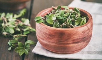 Les bienfaits de la Busserole