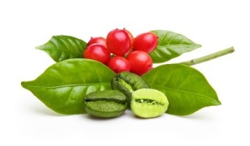 Les bienfaits du Café