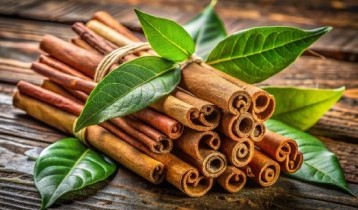 Les bienfaits de la Cannelle