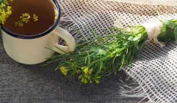 Les bienfaits de l'Erysimum