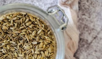 Les bienfaits du Fenouil