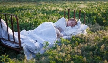 Les plantes pour le sommeil