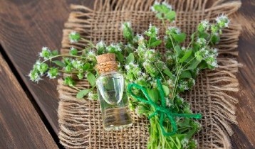 Les bienfaits de la Marjolaine