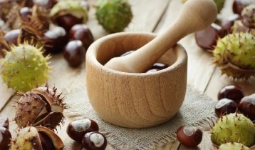 Les bienfaits du Marronnier d'Inde