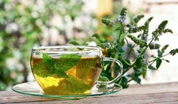 Les bienfaits de la Menthe
