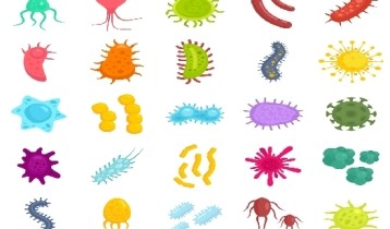 Quelles sont les principales zoonoses ?