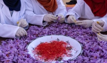 Les bienfaits du Safran