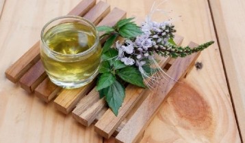 Les bienfaits de l'Orthosiphon