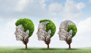 Les plantes contre la chute des cheveux