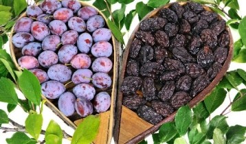 Les bienfaits du Pruneau