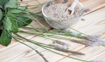 Les bienfaits du Psyllium