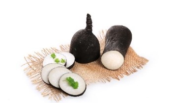 Les bienfaits du Radis noir