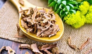 Les bienfaits de la Rhodiola