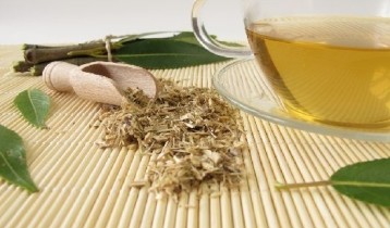 Les bienfaits du Saule blanc