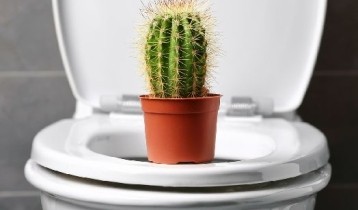 Soigner naturellement les hémorroïdes avec les plantes