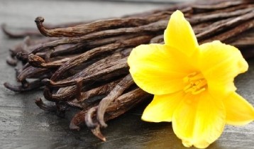 Les bienfaits de la Vanille