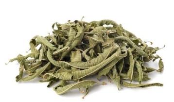 Les bienfaits de la Verveine citronnée