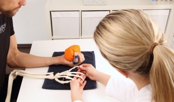 Attelle de doigt : indications et conseils pour la choisir