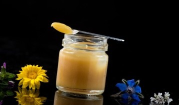 Gelée royale : quels bienfaits sur la santé ?