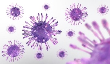 Herpès génital : le reconnaître et le traiter