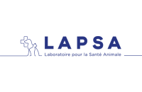 Lapsa