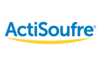 Actisoufre