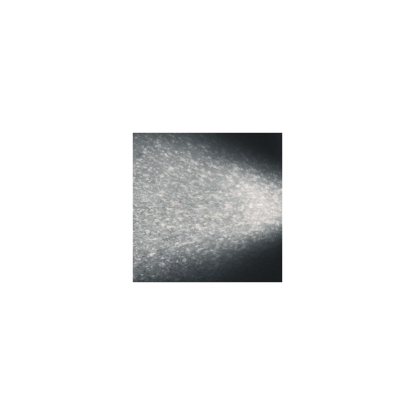 René Furterer Style laque