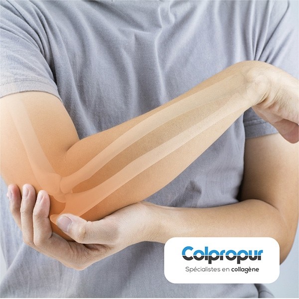 Colpropur Active Fruits des bois